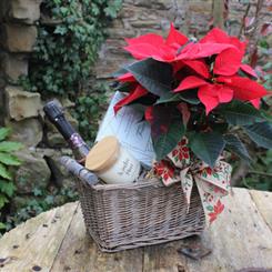 Luxury Hamper - Rose Prosecco