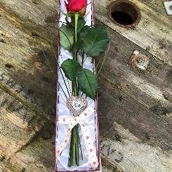 One in a Million Peak Time